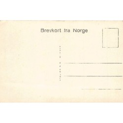Rare collectable postcards of NORWAY. Vintage Postcards of NORWAY