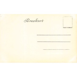 Rare collectable postcards of NORWAY. Vintage Postcards of NORWAY