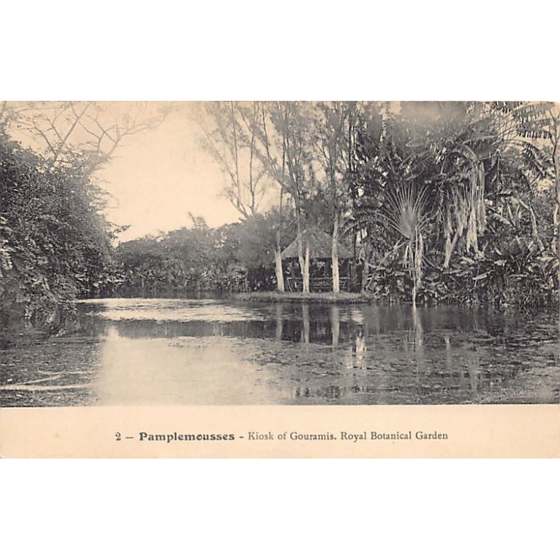 Rare collectable postcards of Mauritius. Vintage Postcards of Mauritius