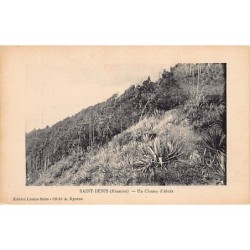 Rare collectable postcards of Réunion. Vintage Postcards of Réunion