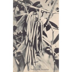 Rare collectable postcards of Seychelles. Vintage Postcards of Seychelles