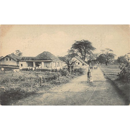 Rare collectable postcards of Tanzania. Vintage Postcards of Tanzania