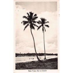 Rare collectable postcards of Tanzania. Vintage Postcards of Tanzania
