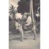 Rare collectable postcards of Tanzania. Vintage Postcards of Tanzania