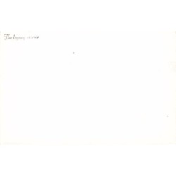 Rare collectable postcards of Indonesia. Vintage Postcards of Indonesia