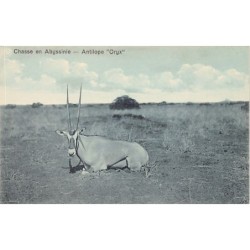 Rare collectable postcards of ETHIOPIA. Vintage Postcards of ETHIOPIA