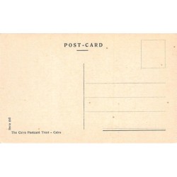 Rare collectable postcards of Israel / Palestine. Vintage Postcards of Israel / Palestine