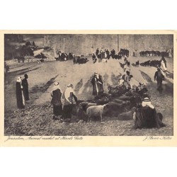 Rare collectable postcards of Israel / Palestine. Vintage Postcards of Israel / Palestine