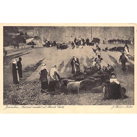 Rare collectable postcards of Israel / Palestine. Vintage Postcards of Israel / Palestine