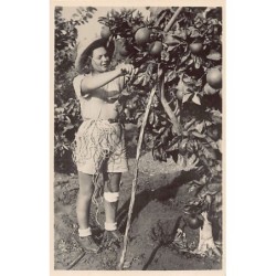 Rare collectable postcards of Israel / Palestine. Vintage Postcards of Israel / Palestine