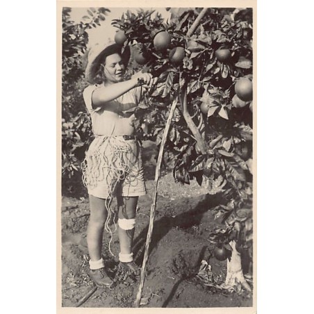 Rare collectable postcards of Israel / Palestine. Vintage Postcards of Israel / Palestine