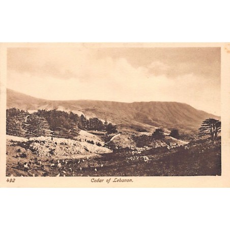 Rare collectable postcards of Lebanon. Vintage Postcards of Lebanon