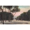 Rare collectable postcards of Lebanon. Vintage Postcards of Lebanon