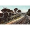 Rare collectable postcards of Lebanon. Vintage Postcards of Lebanon