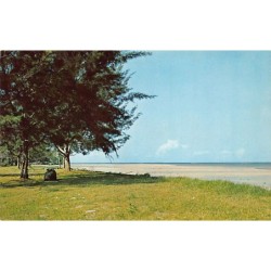 Rare collectable postcards of Malaysia. Vintage Postcards of Malaysia