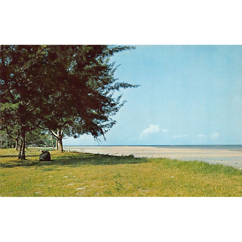 Rare collectable postcards of Malaysia. Vintage Postcards of Malaysia