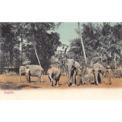 Rare collectable postcards of Sri Lanka (Ceylon). Vintage Postcards of Sri Lanka (Ceylon)