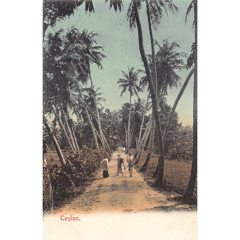 Rare collectable postcards of Sri Lanka (Ceylon). Vintage Postcards of Sri Lanka (Ceylon)