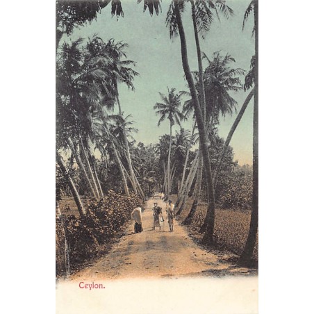 Rare collectable postcards of Sri Lanka (Ceylon). Vintage Postcards of Sri Lanka (Ceylon)