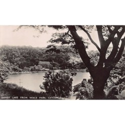 Rare collectable postcards of Sri Lanka (Ceylon). Vintage Postcards of Sri Lanka (Ceylon)