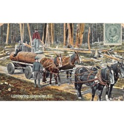 Rare collectable postcards of Canada. Vintage Postcards of Canada