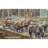 Rare collectable postcards of Canada. Vintage Postcards of Canada