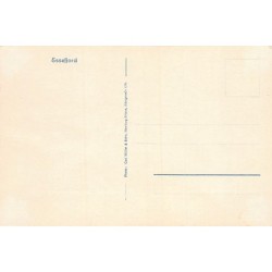 Rare collectable postcards of NORWAY. Vintage Postcards of NORWAY