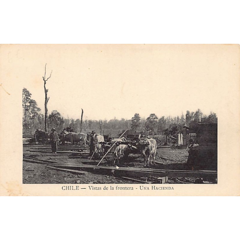 Rare collectable postcards of Chile. Vintage Postcards of Chile