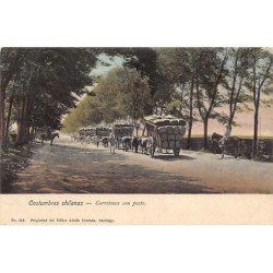 Rare collectable postcards of Chile. Vintage Postcards of Chile