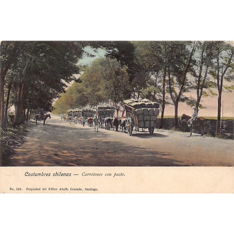 Rare collectable postcards of Chile. Vintage Postcards of Chile