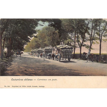 Rare collectable postcards of Chile. Vintage Postcards of Chile