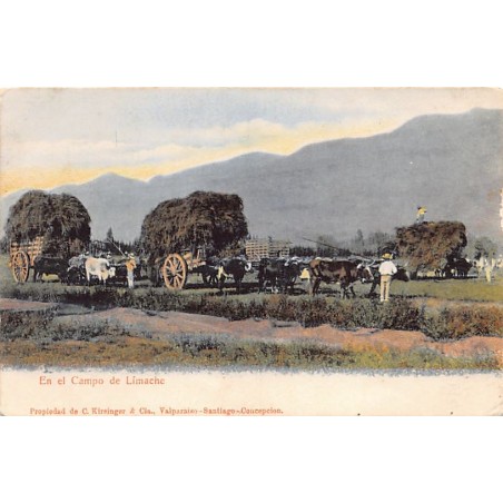 Rare collectable postcards of Chile. Vintage Postcards of Chile