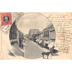 Rare collectable postcards of Chile. Vintage Postcards of Chile