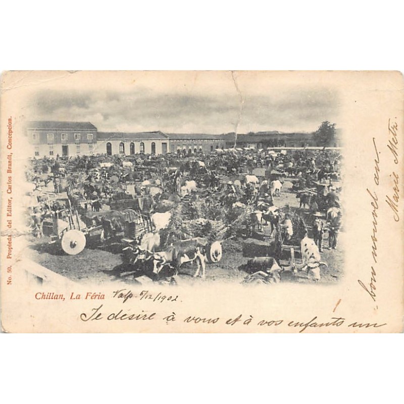 Rare collectable postcards of Chile. Vintage Postcards of Chile