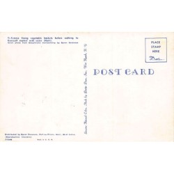 Rare collectable postcards of Haiti. Vintage Postcards of Haiti