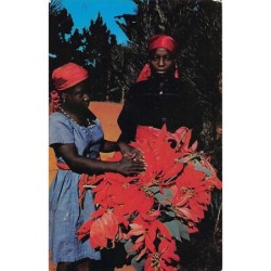 Rare collectable postcards of Haiti. Vintage Postcards of Haiti