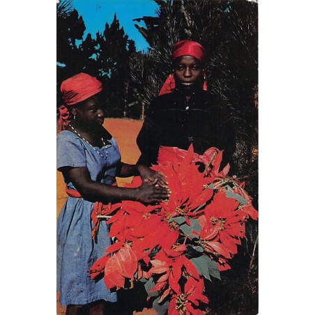 Rare collectable postcards of Haiti. Vintage Postcards of Haiti