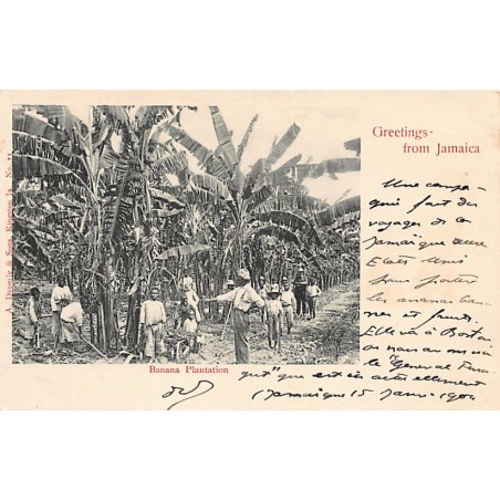 Rare collectable postcards of Jamaica. Vintage Postcards of Jamaica