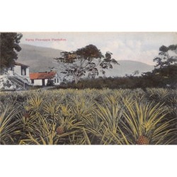 Rare collectable postcards of Jamaica. Vintage Postcards of Jamaica