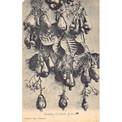 Rare collectable postcards of Trinidad & Tobago. Vintage Postcards of Trinidad & Tobago