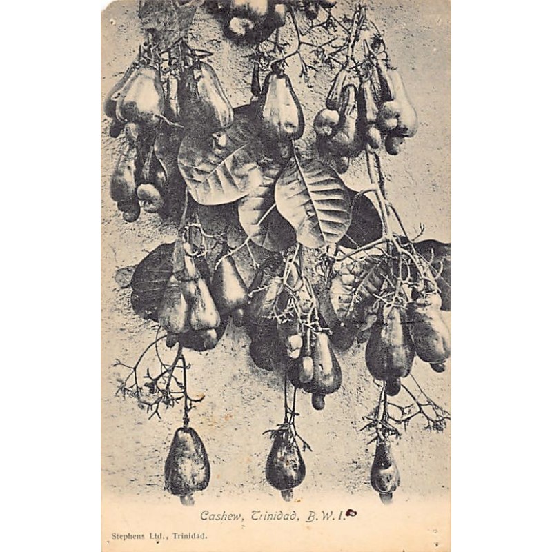 Rare collectable postcards of Trinidad & Tobago. Vintage Postcards of Trinidad & Tobago