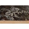 Rare collectable postcards of Greece. Vintage Postcards of Greece