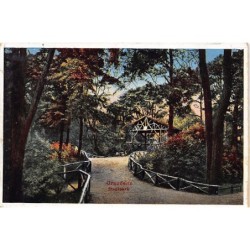 Rare collectable postcards of Poland. Vintage Postcards of Poland