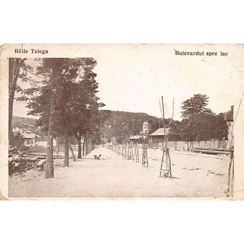 Rare collectable postcards of Romania. Vintage Postcards of Romania