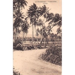 Rare collectable postcards of Guadeloupe. Vintage Postcards of Guadeloupe