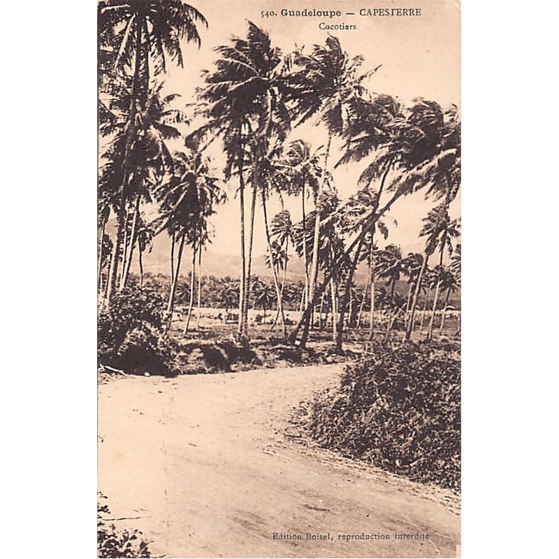 Rare collectable postcards of Guadeloupe. Vintage Postcards of Guadeloupe