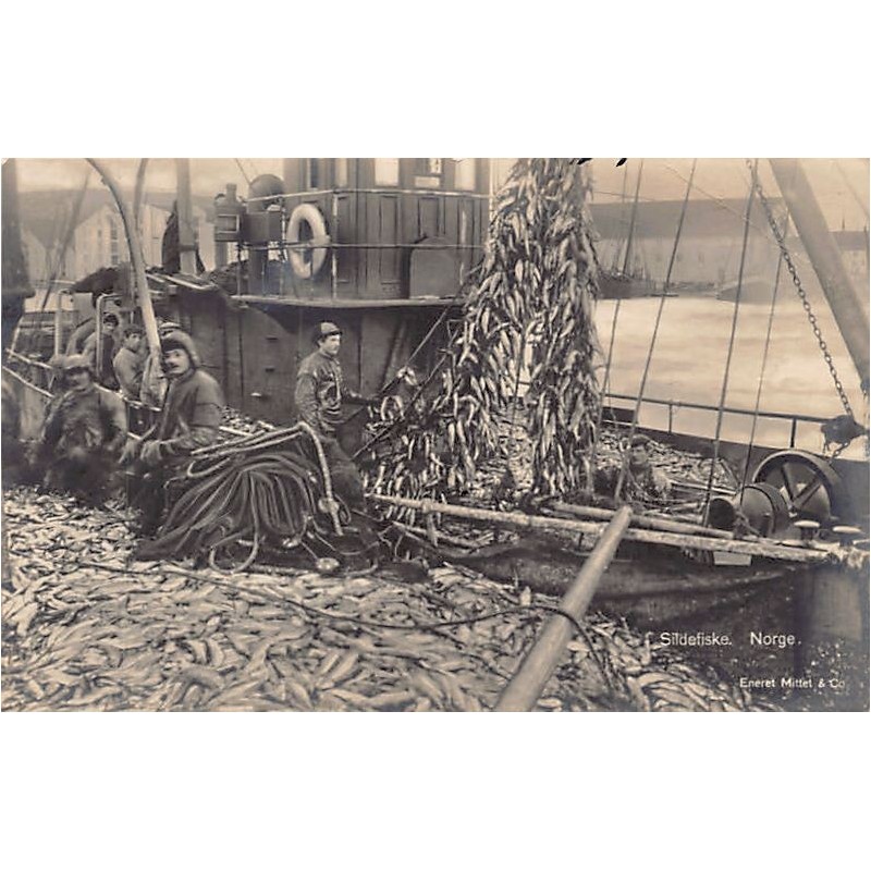 Rare collectable postcards of NORWAY. Vintage Postcards of NORWAY