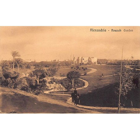 Rare collectable postcards of Egypt. Vintage Postcards of Egypt