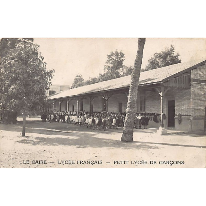 Rare collectable postcards of Egypt. Vintage Postcards of Egypt