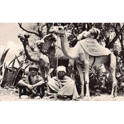 Rare collectable postcards of Morocco. Vintage Postcards of Morocco